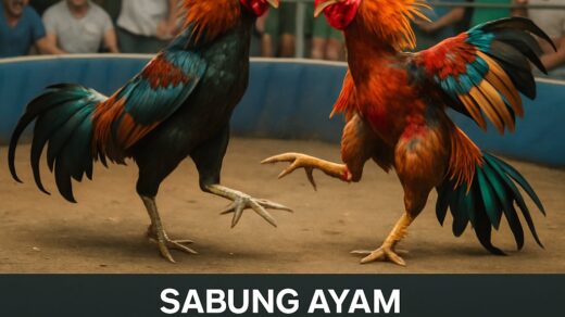 Ilustrasi Panduan Lengkap Mengenal Menu Sabung Ayam Online